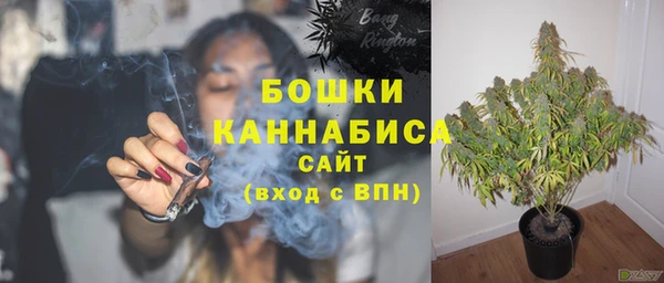 гидропоника Богданович