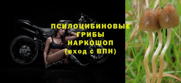 мяу мяу мука Богородицк