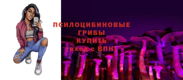гидропоника Богданович
