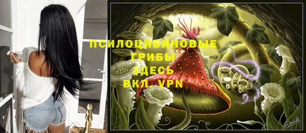 гидропоника Богданович