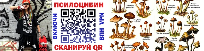 где можно купить   Томск  Псилоцибиновые грибы мицелий 